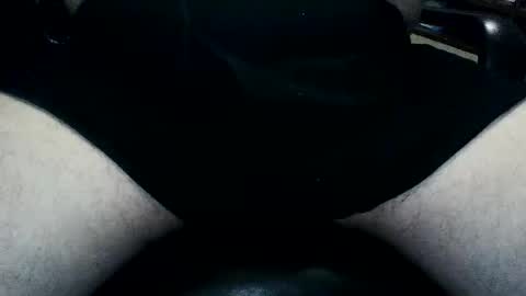 horsesaslife online show from September 2025 08:22:02 PM