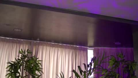 Anais online show from October 2025 09:57:01 AM