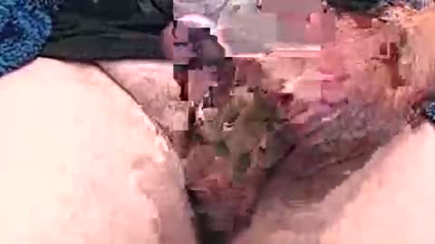 Snapshot of hotcam96 chatting on December 2024 03:31:02 PM hotcam96 online show from December 2024 03:31:02 PM