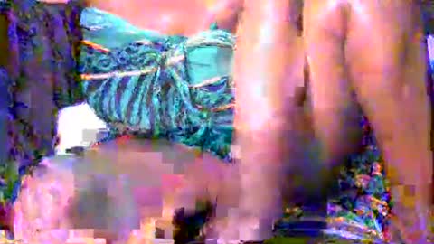 Snapshot of hotebony1919 chatting on September 2025 06:20:02 PM hotebony1919 online show from September 2025 06:20:02 PM