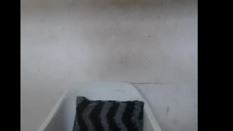 hotjessie0 online show from November 2025 07:57:01 AM