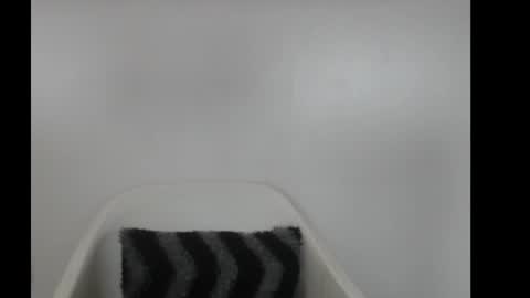 hotjessie0 online show from February 2026 04:08:01 AM