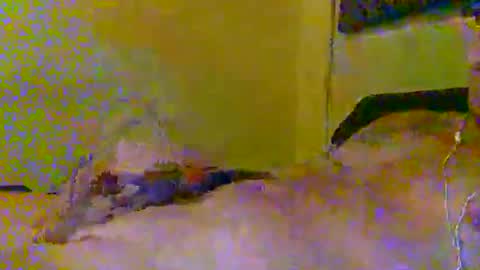 Snapshot of hotjox chatting on March 2026 06:09:02 AM hotjox online show from March 2026 06:09:02 AM