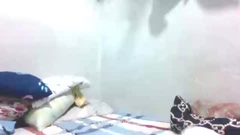 hotlavender online show from January 2025 04:09:01 AM