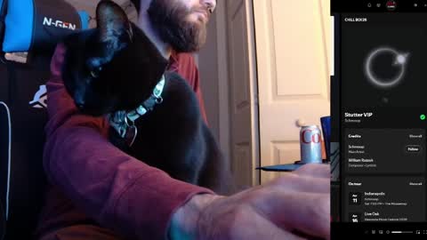 hotpumpkinpies online show from April 2026 02:31:01 AM