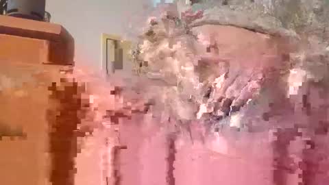 hottinrh2 online show from May 2026 07:53:02 PM