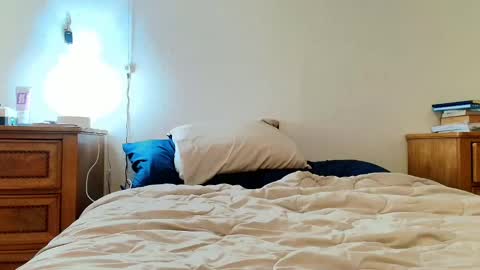 Lili Vixen online show from February 2025 04:48:02 AM