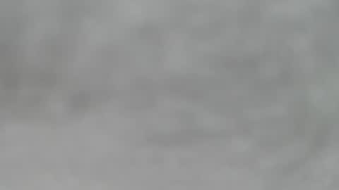 Slutty little female cat online show from May 2026 04:50:02 AM