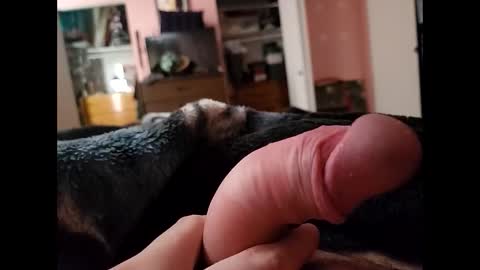 Snapshot of hourpower420 chatting on December 2024 05:16:01 PM hourpower420 online show from December 2024 05:16:01 PM