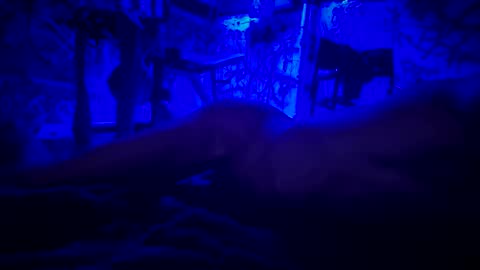 ask me online show from June 2026 03:04:02 AM