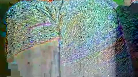 hp58649blabla online show from September 2025 09:02:01 AM