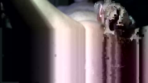 Snapshot of huge_dick_head chatting on February 2025 02:00:01 PM Imre Icalanise online show from February 2025 02:00:01 PM