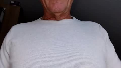 hundeleine online show from October 2025 06:00:02 AM