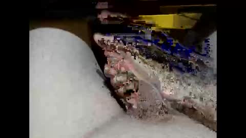 hung_mac0 online show from February 2026 02:13:02 PM