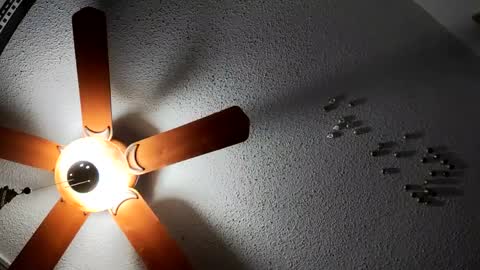 hungtxcock92 online show from January 2025 05:58:01 AM