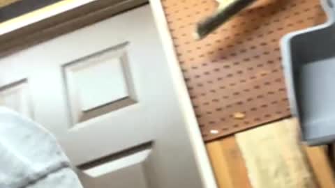 huskey300 online show from February 2026 10:26:01 PM