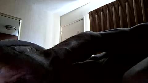 Hypsterical online show from August 2026 12:41:02 PM