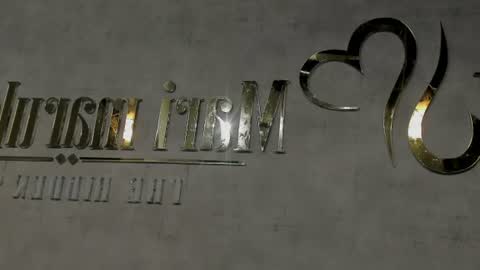 Brina online show from June 2026 08:53:02 PM