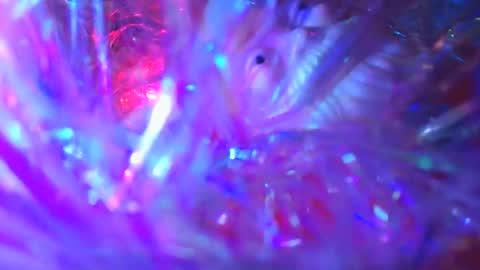 iamhereandnow online show from December 2025 02:07:02 AM