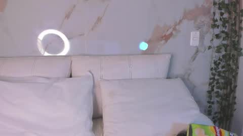              online show from November 2025 04:40:01 PM