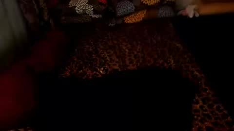 MADAM  MISTRESS ASIANA online show from December 2024 02:27:01 PM