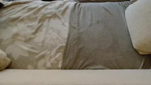 SnowTiger online show from January 2025 11:04:02 AM