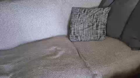 SnowTiger online show from February 2026 11:17:01 AM