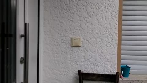 icheinfachich13 online show from October 2025 08:26:01 AM