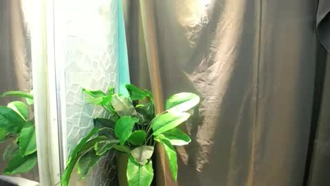 Snapshot of icy_heartxoxox chatting on February 2026 06:35:01 PM Heart online show from February 2026 06:35:01 PM