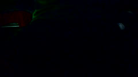 Nicolas online show from December 2025 02:21:01 AM