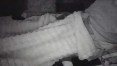 iloveitall86 online show from January 2026 12:21:01 PM