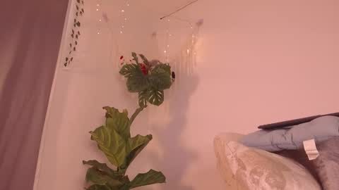 Kaia online show from January 2026 07:59:01 PM