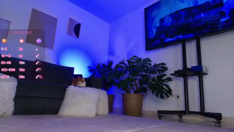 Eli  online show from July 2026 03:13:01 AM