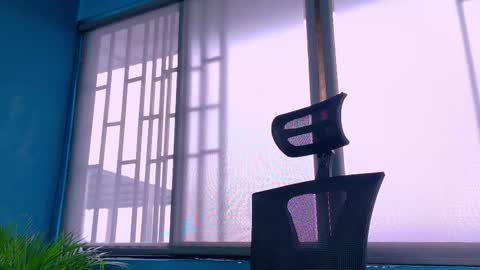 Tavo online show from February 2026 12:14:01 PM