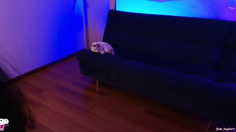 TAYLOR  online show from October 2025 01:03:01 AM