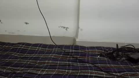 jully online show from February 2026 05:50:02 PM