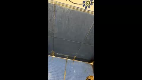 Snapshot of indianboy8940 chatting on April 2026 11:19:01 AM Indianboy online show from April 2026 11:19:01 AM