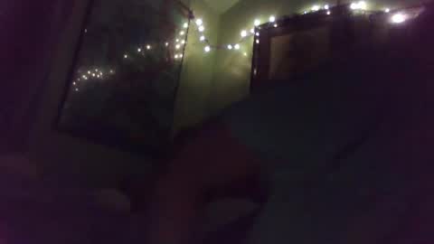 indigo_scorpio online show from February 2025 11:12:01 AM