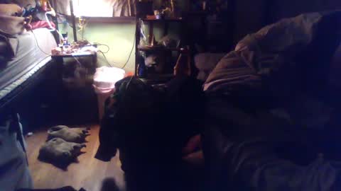 indigo_scorpio online show from March 2025 02:06:02 AM