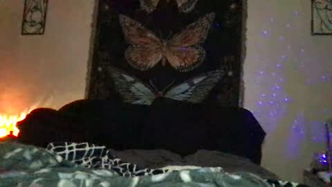 Indigo Bay online show from January 2025 12:17:01 AM