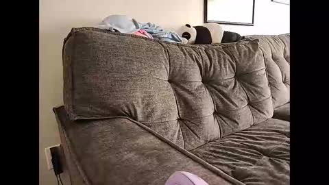 Indigo Star online show from February 2025 08:48:02 PM