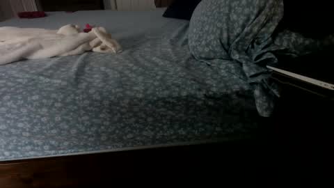 InsatiableCpl333 online show from January 2025 02:07:01 PM