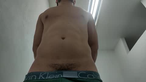 Snapshot of insistente chatting on February 2026 03:39:02 PM INSTAGRAM camilodlx online show from February 2026 03:39:02 PM