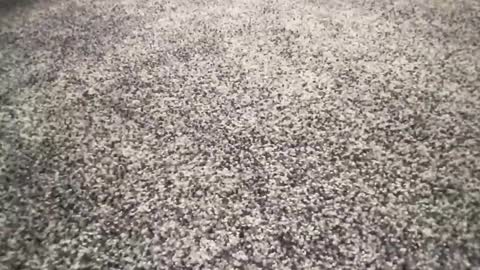 Snapshot of ironerectionn chatting on January 2026 01:32:01 AM ironerectionn online show from January 2026 01:32:01 AM