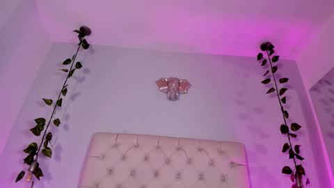   online show from November 2025 09:19:02 PM