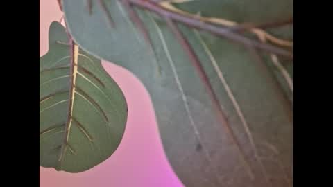 Isabella online show from September 2025 04:58:02 AM