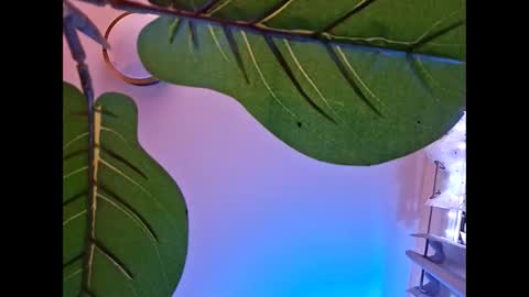 Isabella online show from October 2025 05:51:01 AM