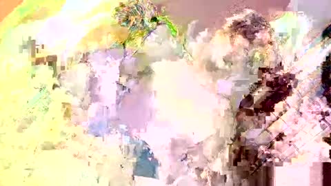 Nathaniel online show from May 2026 04:04:02 PM