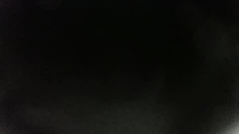 Snapshot of issabellajones chatting on February 2025 07:05:02 PM issabellajones online show from February 2025 07:05:02 PM
