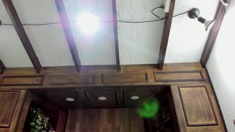 Italo Moore online show from November 2025 12:13:01 PM